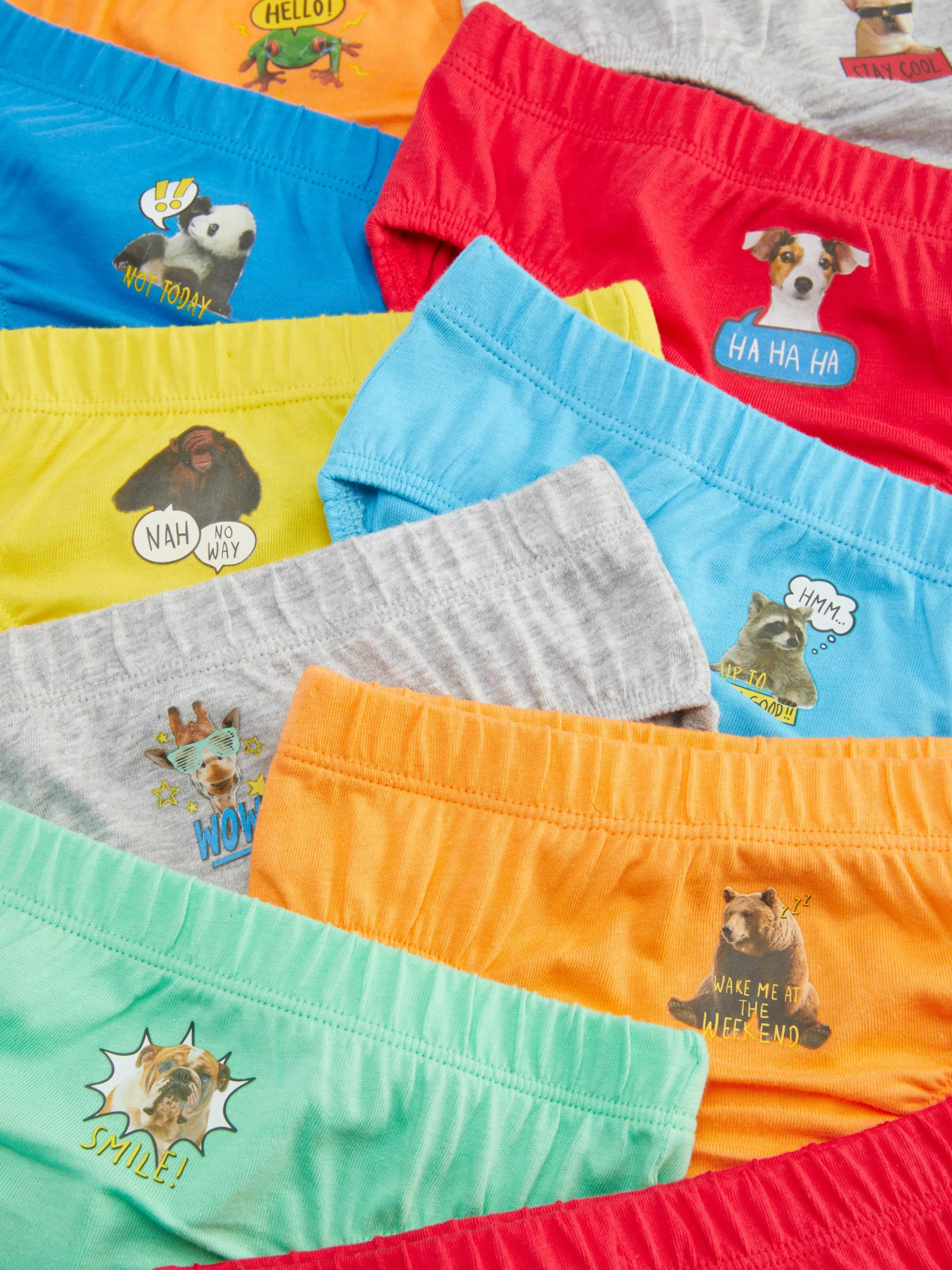 Primark Pack 10 Cuecas Gráficas Animais