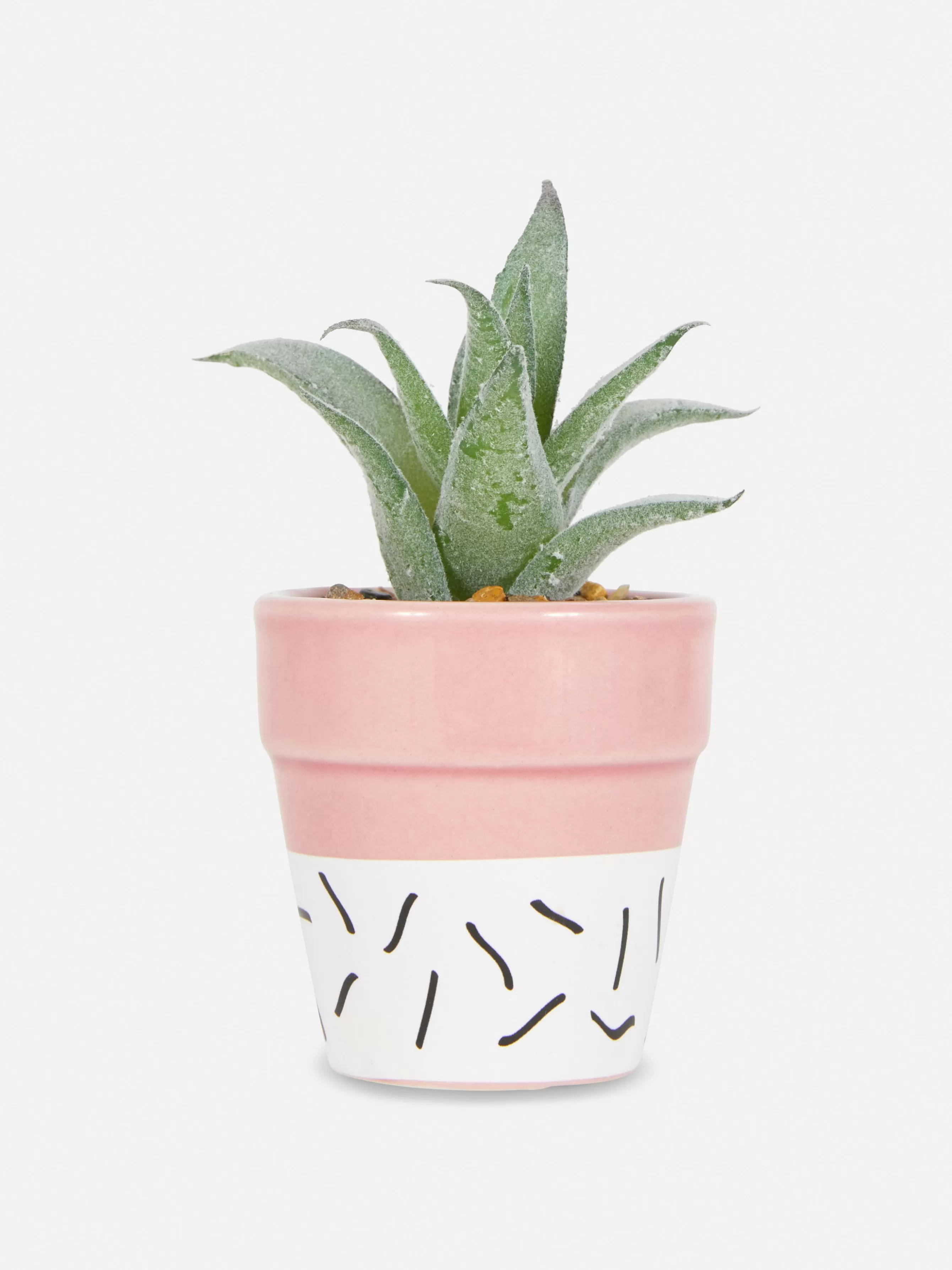 Primark Suculenta Artificial Em Vaso Colorido