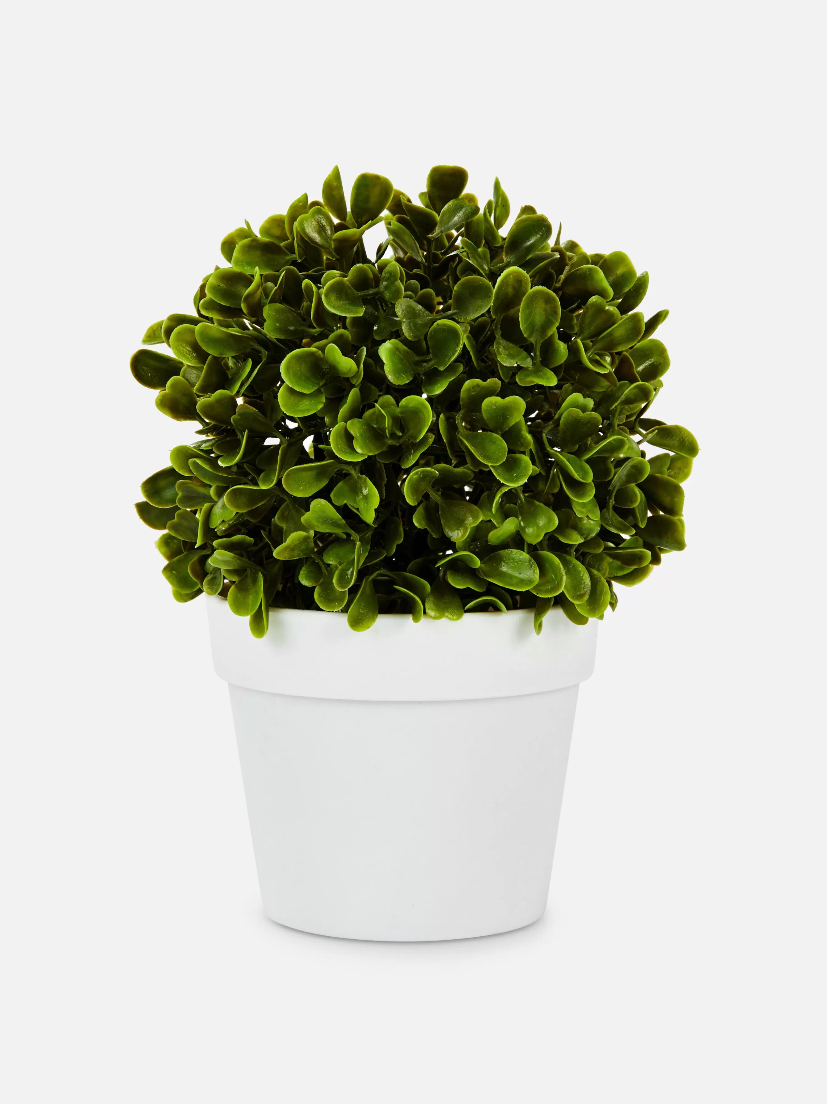 Primark Suculenta Artificial Vaso