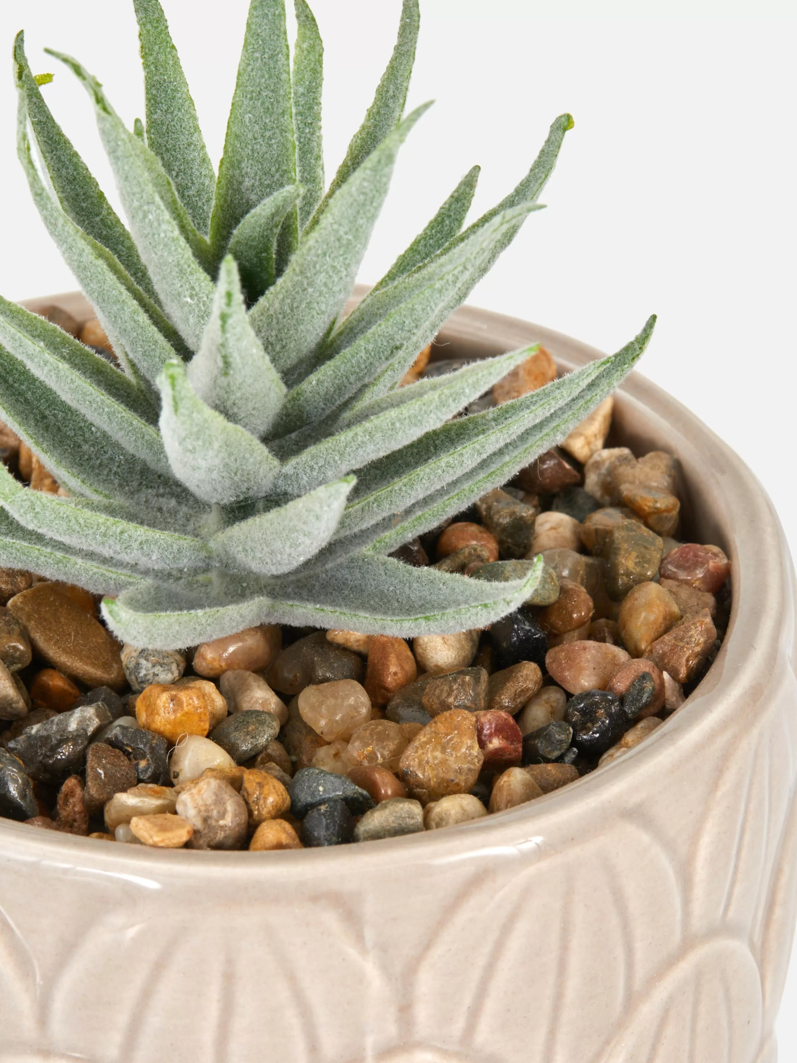 Primark Suculenta Artificial Vaso Forma Alcachofra